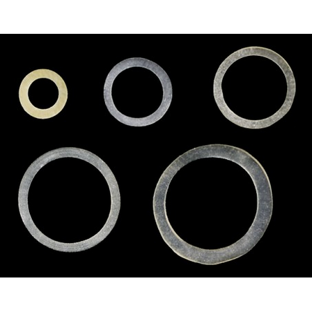 O-Ring Inter Oral Elastics