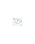 Élastomères et accessoires | Modern Orthodontics Tunisia