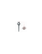 Mini Implant Screw